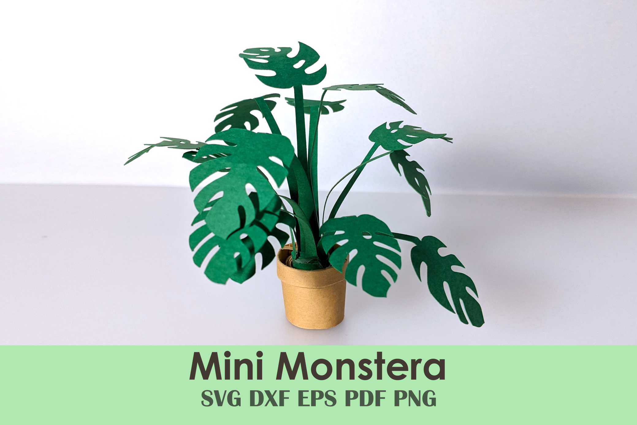 Mini Monstera Plant Printable Template  Creative Fabrica