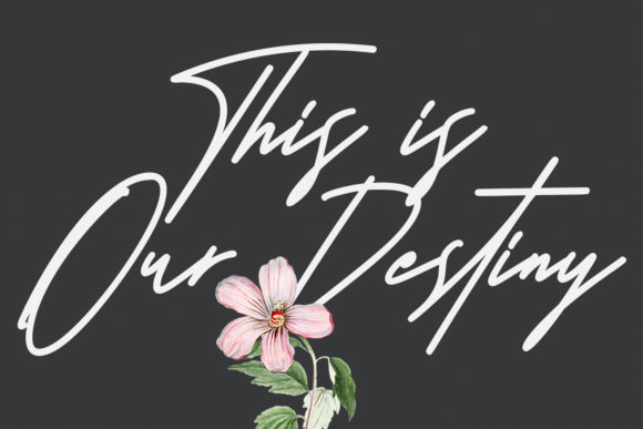 Architaris Signature Font - Preview 3