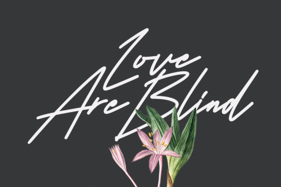 Architaris Signature Font - Preview 6