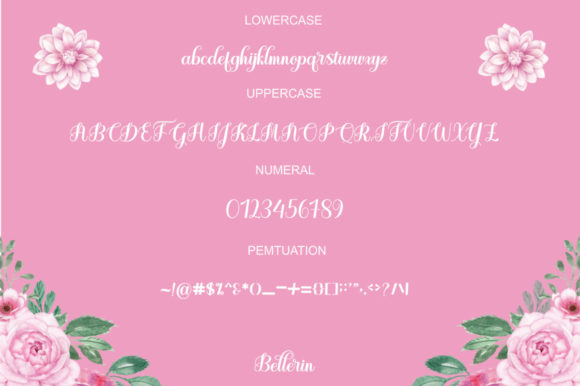 Bellerin Font - Preview 4