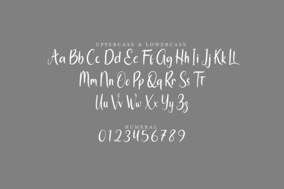 Blink Script Font - Preview 1