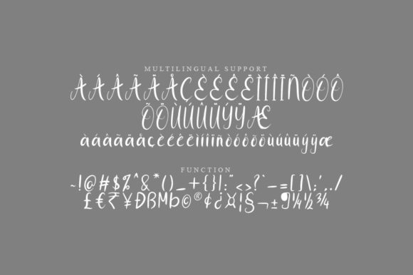 Blink Script Font - Preview 2