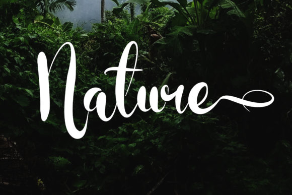 Dollar Font - Preview 2