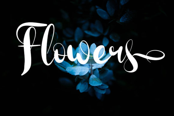 Dollar Font - Preview 4
