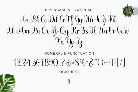 Halgeta Lovely Script Font PNG with transparent background - Preview 4