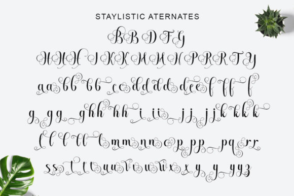 Halgeta Lovely Script Font PNG with transparent background - Preview 6