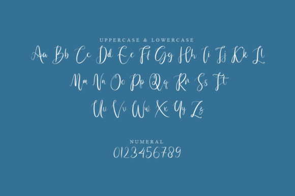 Napet Script Font PNG with transparent background - Preview 1