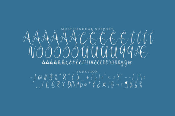 Napet Script Font PNG with transparent background - Preview 2