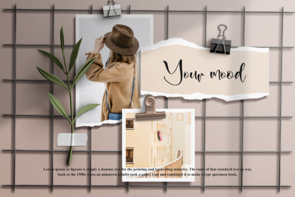 Adelle Bright Font - Preview 5
