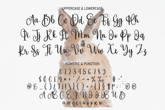 Bunny Font - Preview 6