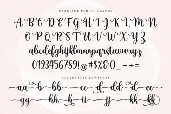 Carriage Script Font - Preview 5