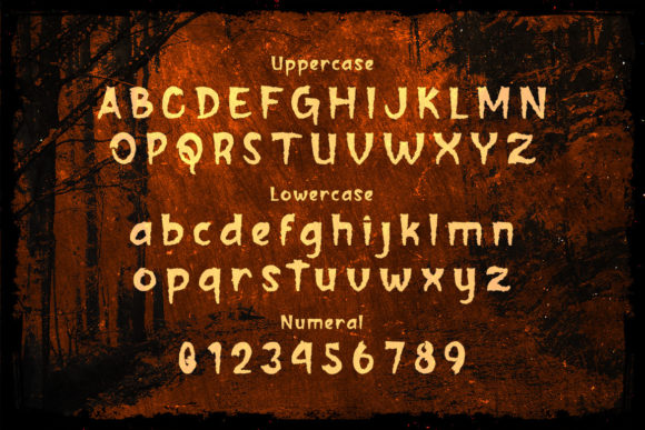 Aoka Font - Preview 1