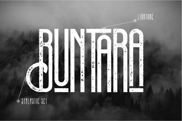 Buntara Font - Preview 2