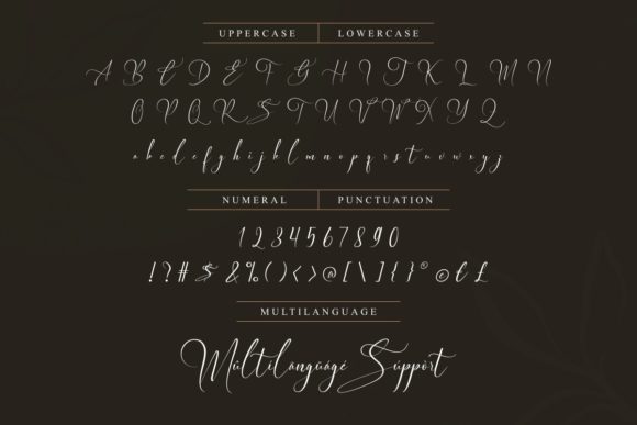 Elegant Wedding Font PNG with transparent background - Preview 3