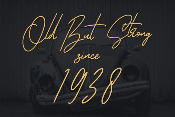 Fineshly Signature Font - Preview 4
