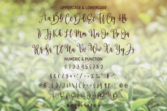 Freshtea Font - Preview 6