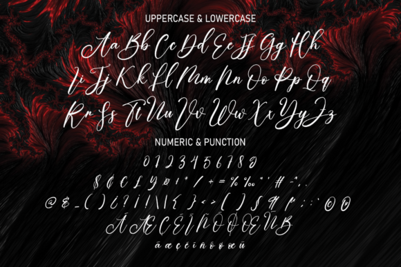 Calligraphy Brilliant Font - Preview 6
