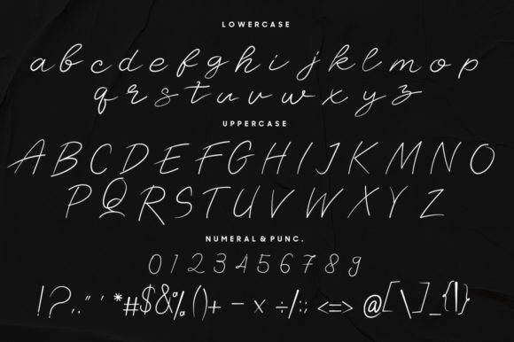 Camelia Stylish Signature Font - Preview 2