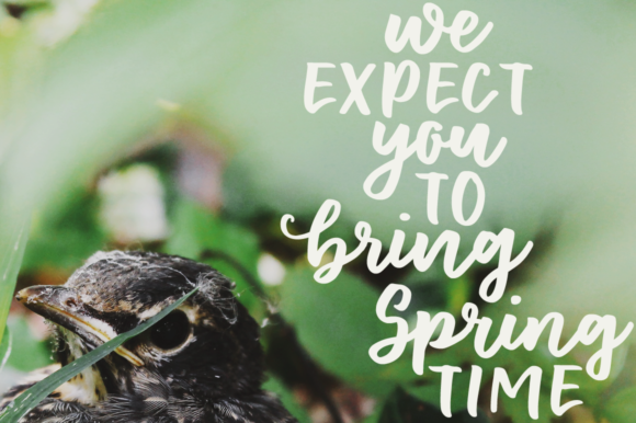 Floret Font - Preview 3