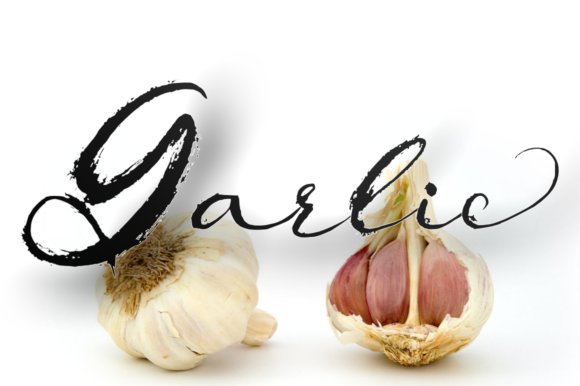 Bargot Font PNG with transparent background - Preview 1