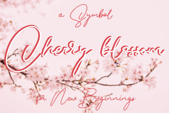Blastiks Signature Font - Preview 4