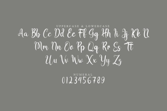 Blife Font - Preview 1
