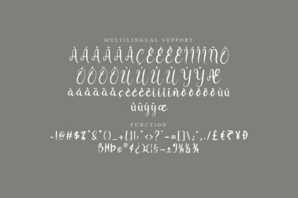 Blife Font - Preview 2
