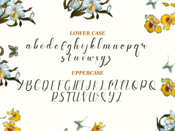 Launch Font PNG with transparent background - Preview 5