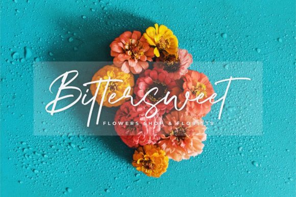 Aquatype Signature Font - Preview 5