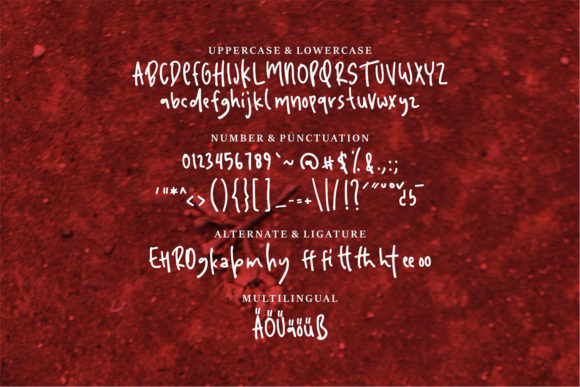 Dachil Font - Preview 5