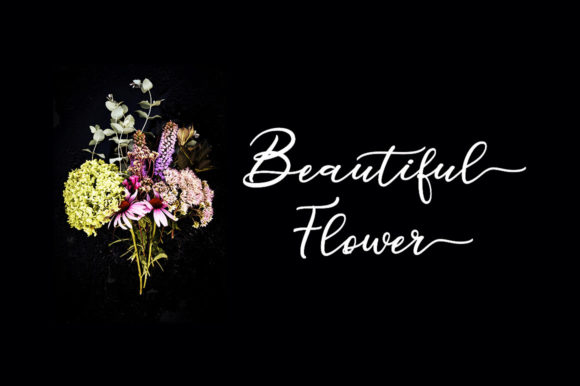 Mitabela Font PNG with transparent background - Preview 3