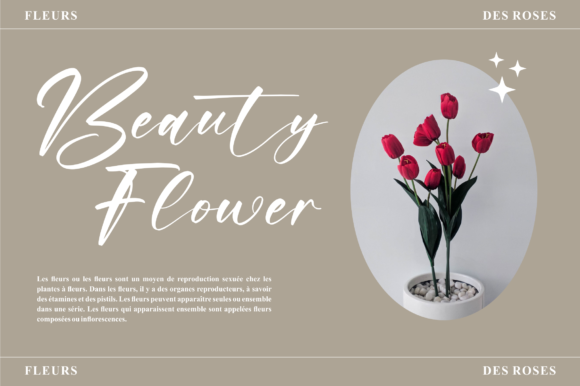 Raylight Font PNG with transparent background - Preview 3