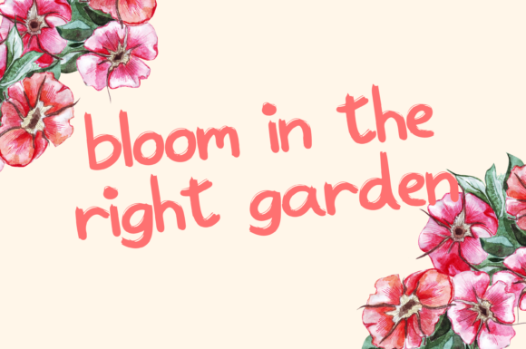 Noodle Street Style Font PNG with transparent background - Preview 4