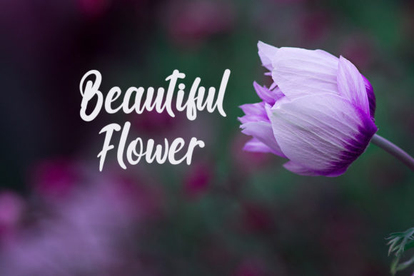 Fresh Font - Preview 4