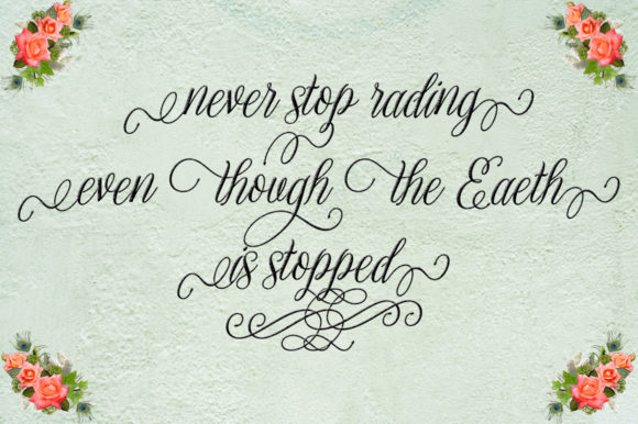 Asoka Font - Preview 5