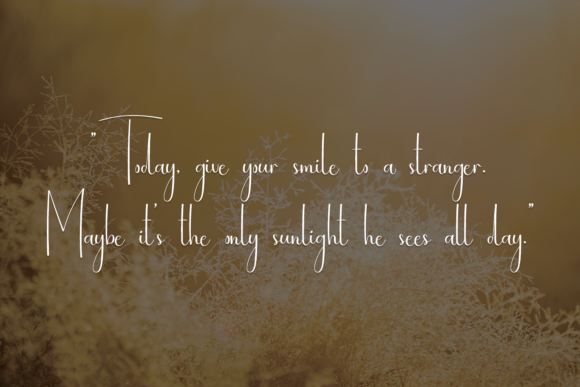 Amanda Font - Preview 6