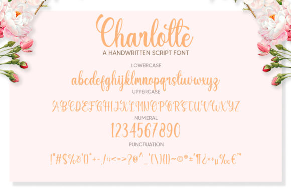 Charlotte Font - Preview 6