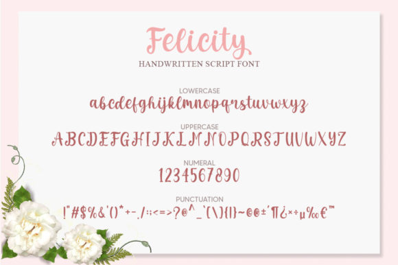 Felicity Font - Preview 4