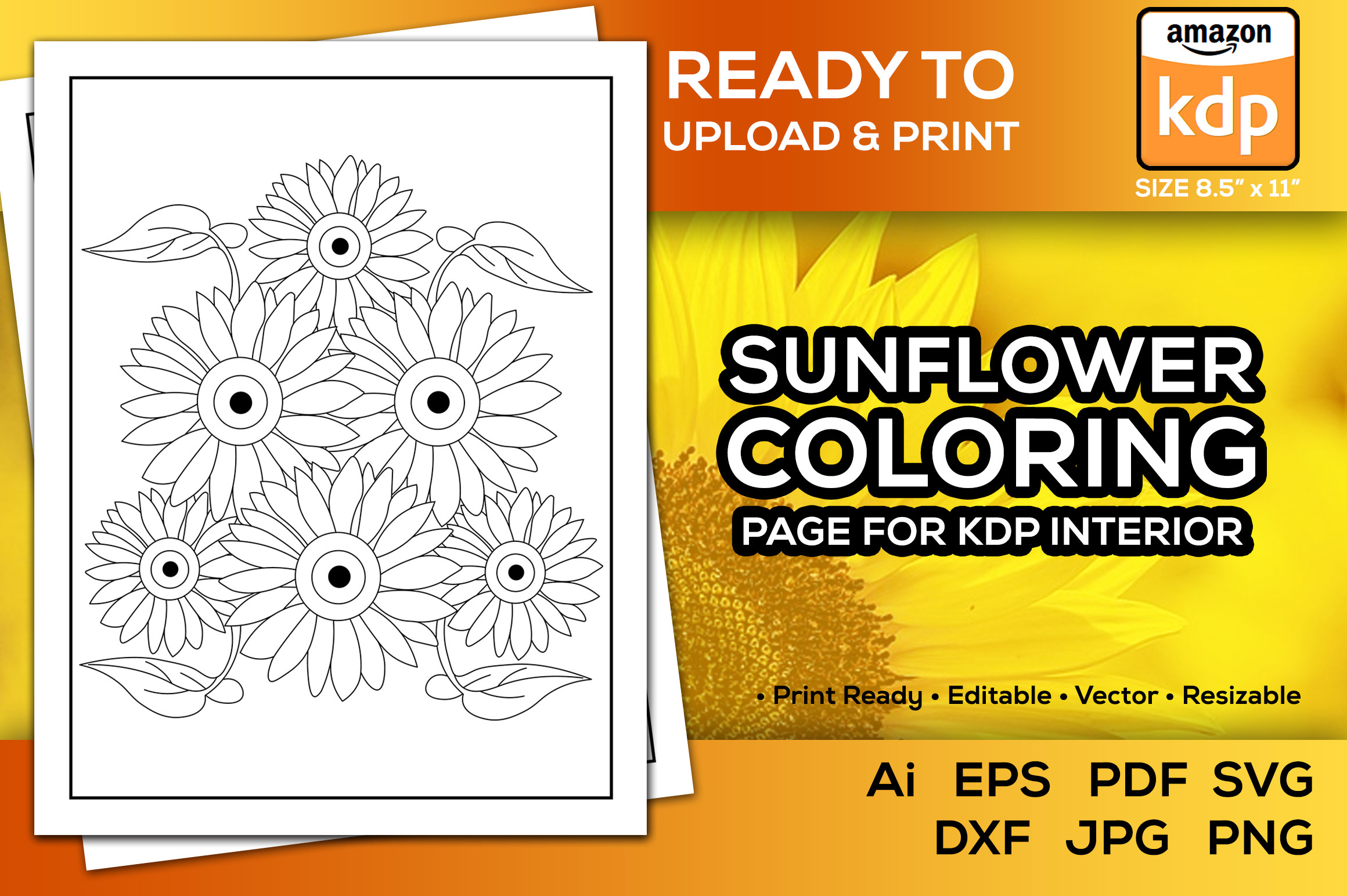 Sunflower Coloring Page for KDP Interior Graphic by TeamlancerBD ...