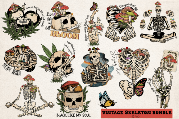 644 Skeleton Bundle Designs & Graphics
