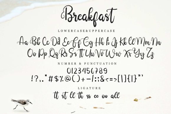 Breakfast Font - Preview 6