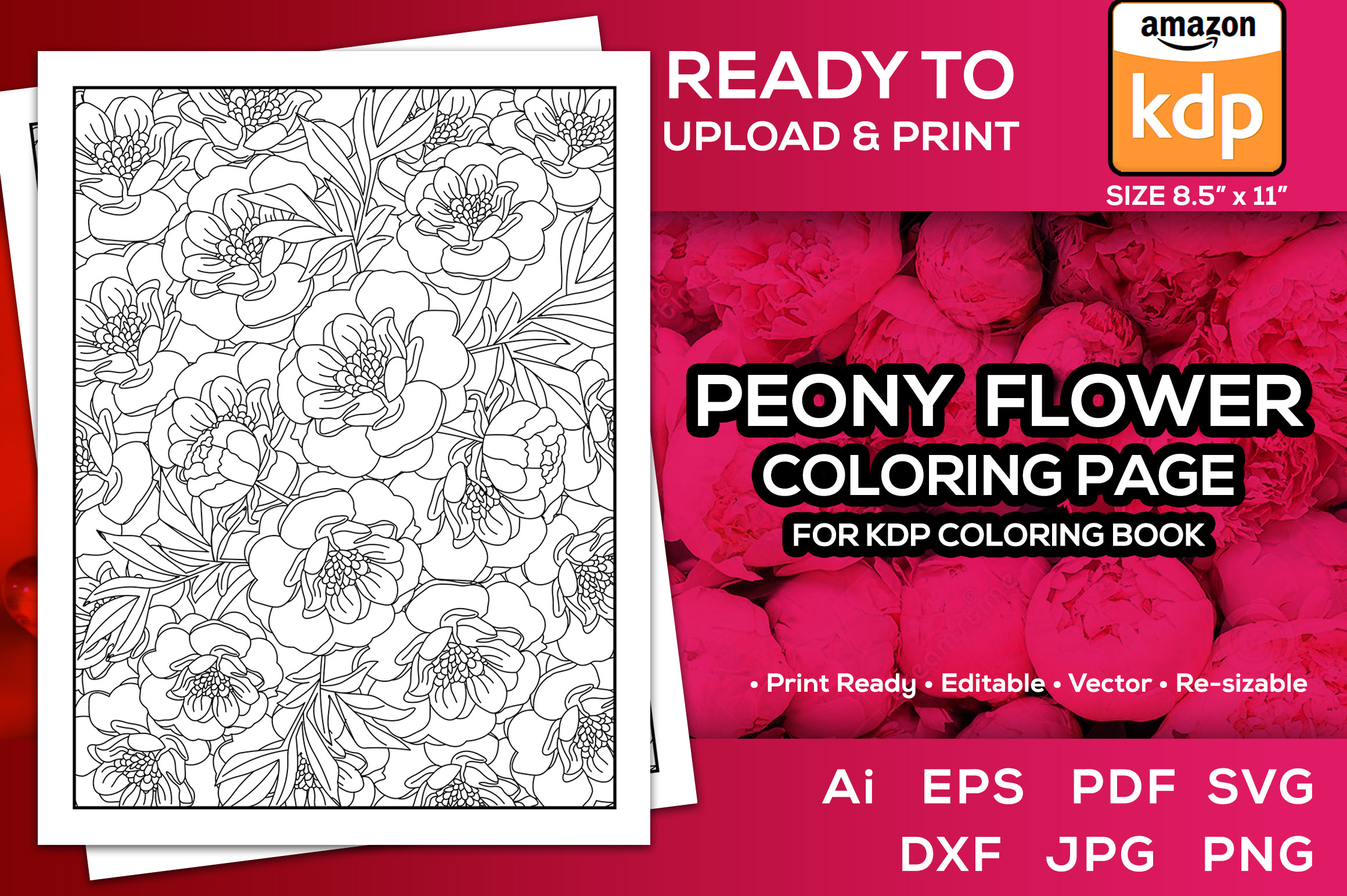Peony Flower Coloring Pages Book for Kdp Graphic by TeamlancerBD ...