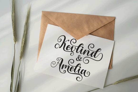 Alisha Font - Preview 5
