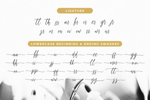 Fadhillah Signature Font - Preview 6