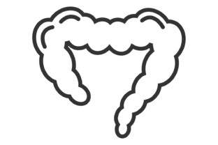 Intestine Icon. Bowel Symbol. Gut Sign. Graphic by microvectorone ...