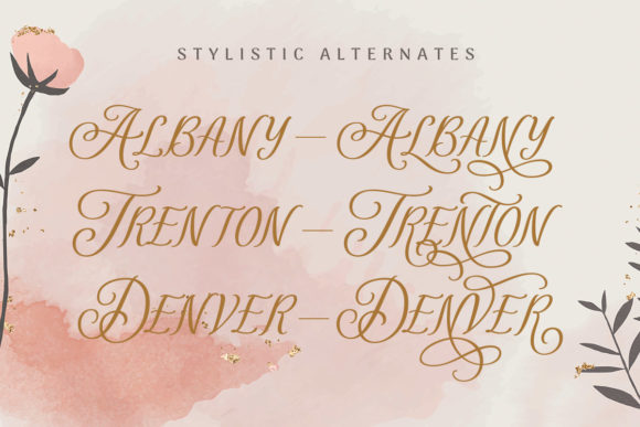 Revisella Font PNG with transparent background - Preview 3