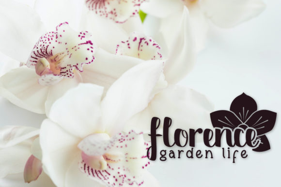 Riberio Font PNG with transparent background - Preview 3