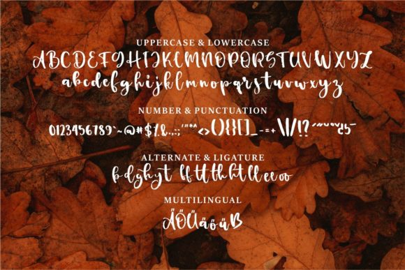 Agady Font - Preview 5