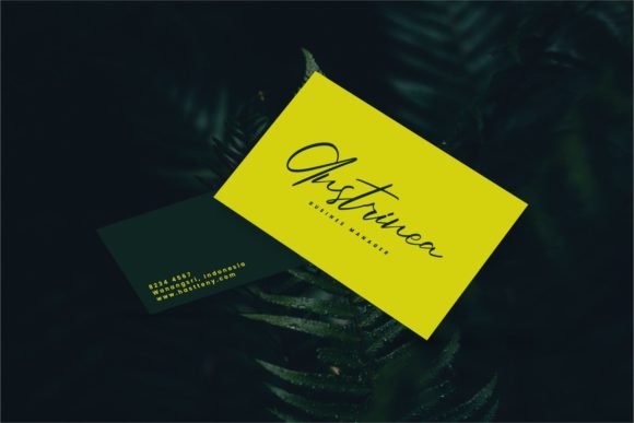 Amllisen Font - Preview 1