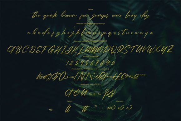 Amllisen Font - Preview 5